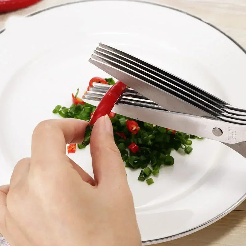 Nouveaux ciseaux de cuisine en acier inoxydable à 5 lames , adaptés à couper et ciselé tous d'herbes et piments